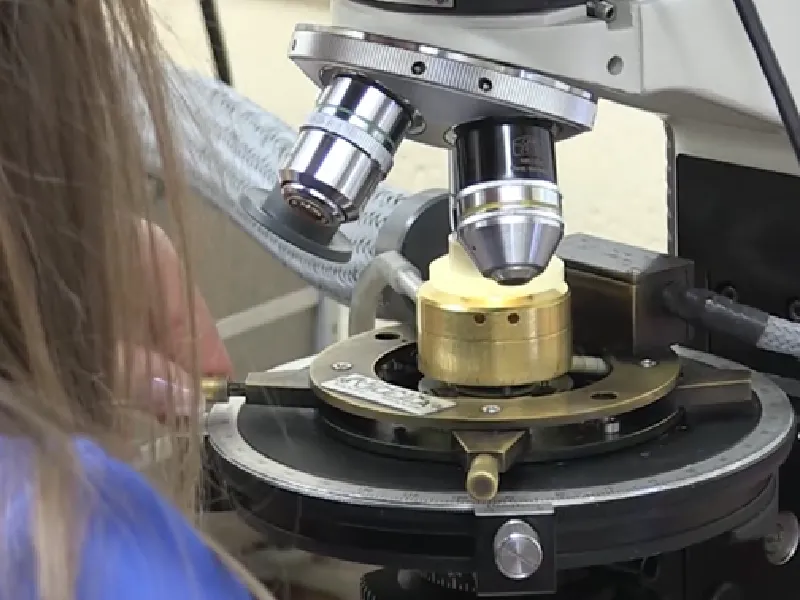 Decoding Ore Genesis: Understanding Fluid and Melt Inclusions in Critical Metal Systems