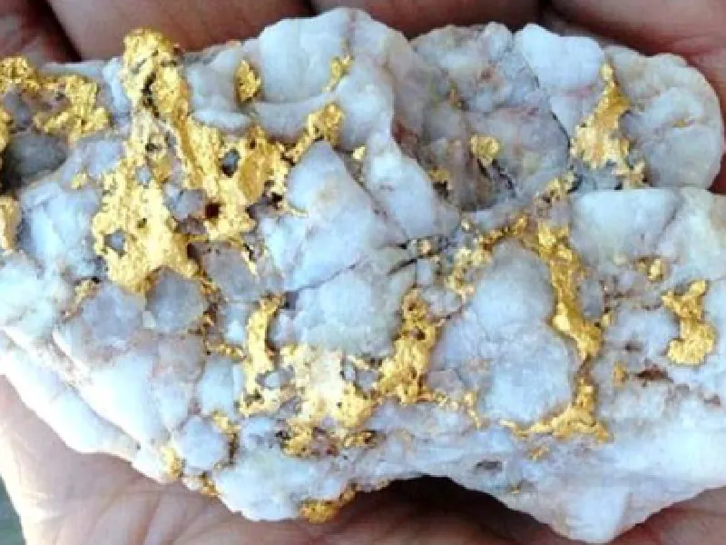 Orogenic Gold: Geology, Geochemistry, Genesis, and Exploration Criteria