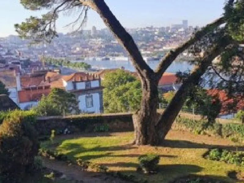 Between Granite and Grapes: A field trip into the Heart of Vinho Verde’s Terroir 3
